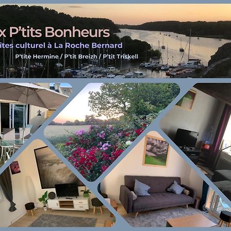 Aux Petits Bonheurs, Gites Culturel A La Roche Bernard Férel Екстериор снимка